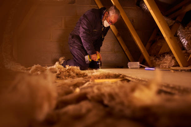 Best Residential Insulation in Gulf Breeze, FL